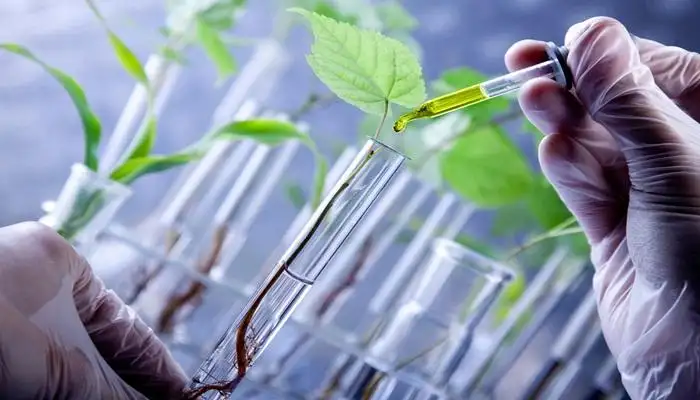 Biotechnology in Agriculture